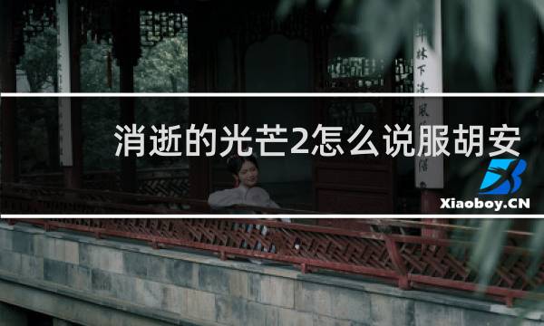 消逝的光芒2怎么说服胡安
