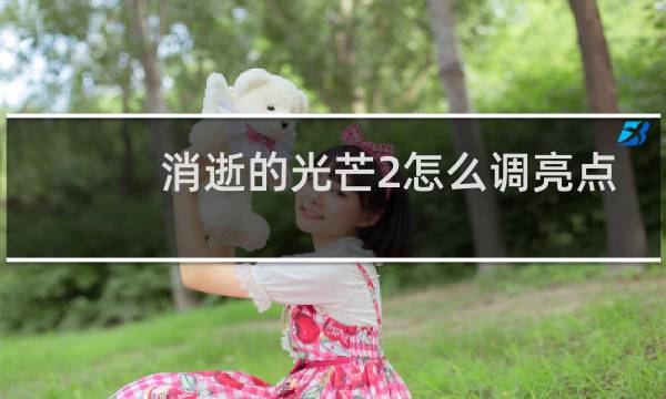 消逝的光芒2怎么调亮点