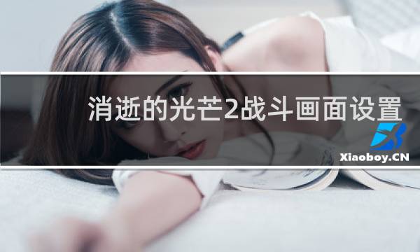 消逝的光芒2战斗画面设置