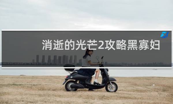 消逝的光芒2攻略黑寡妇