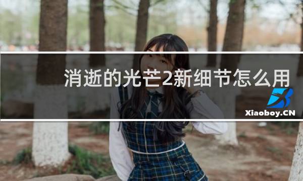 消逝的光芒2新细节怎么用