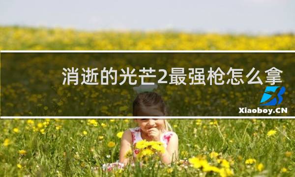 消逝的光芒2最强枪怎么拿