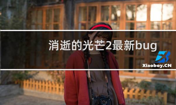 消逝的光芒2最新bug