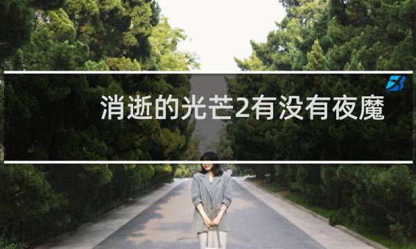 消逝的光芒2有没有夜魔