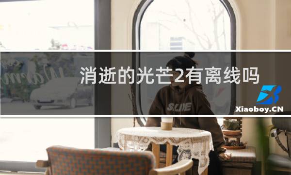 消逝的光芒2有离线吗