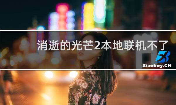 消逝的光芒2本地联机不了