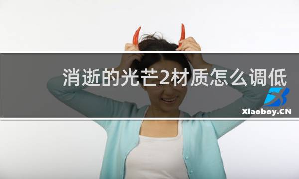 消逝的光芒2材质怎么调低