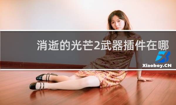 消逝的光芒2武器插件在哪