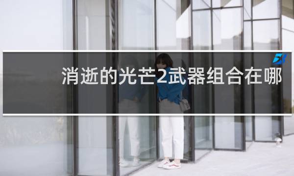 消逝的光芒2武器组合在哪