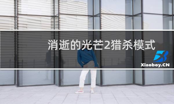 消逝的光芒2猎杀模式