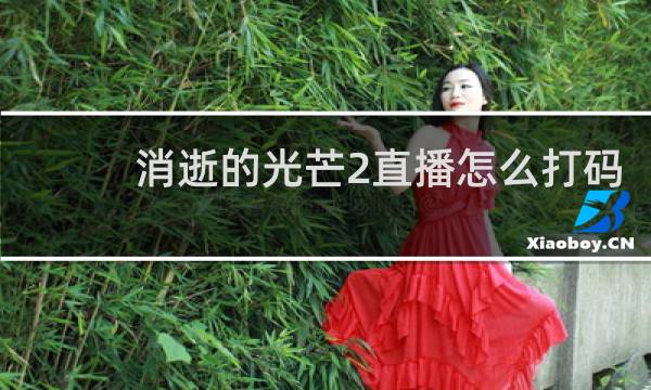 消逝的光芒2直播怎么打码