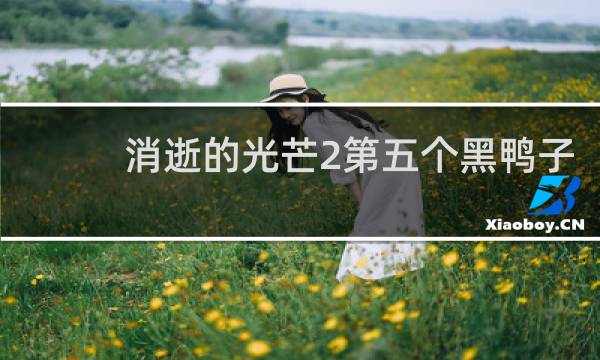 消逝的光芒2第五个黑鸭子