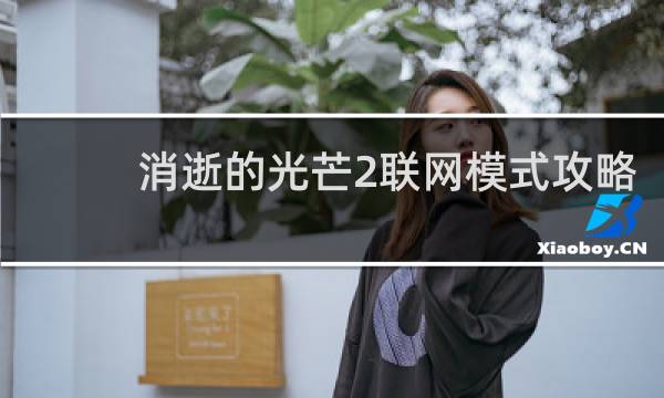 消逝的光芒2联网模式攻略