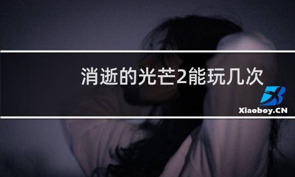 消逝的光芒2能玩几次