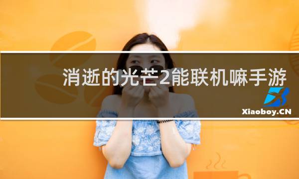 消逝的光芒2能联机嘛手游