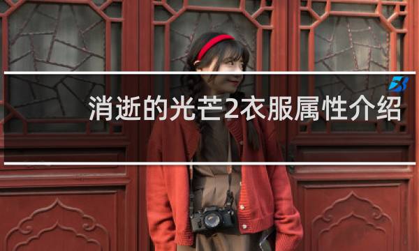 消逝的光芒2衣服属性介绍
