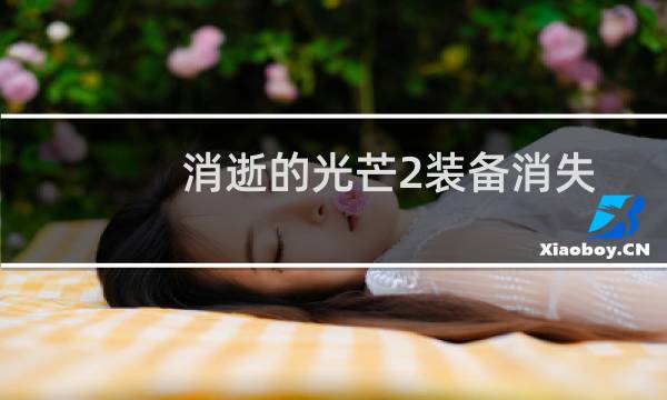 消逝的光芒2装备消失