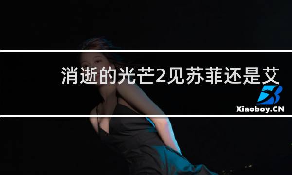 消逝的光芒2见苏菲还是艾
