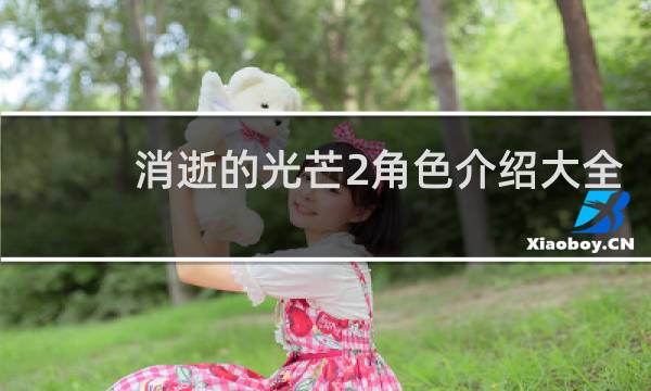 消逝的光芒2角色介绍大全