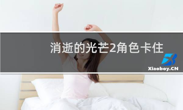 消逝的光芒2角色卡住
