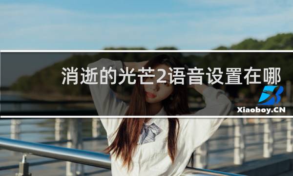 消逝的光芒2语音设置在哪