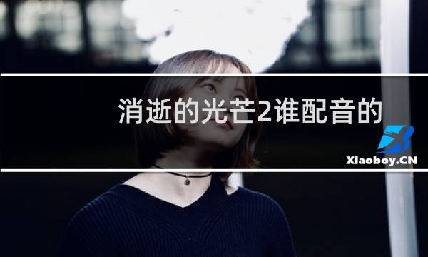 消逝的光芒2谁配音的