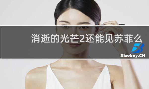消逝的光芒2还能见苏菲么