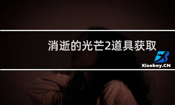 消逝的光芒2道具获取
