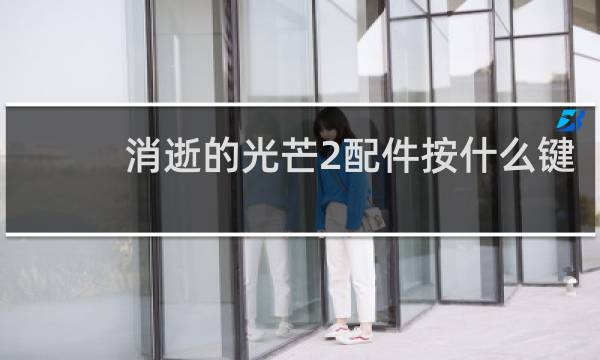 消逝的光芒2配件按什么键
