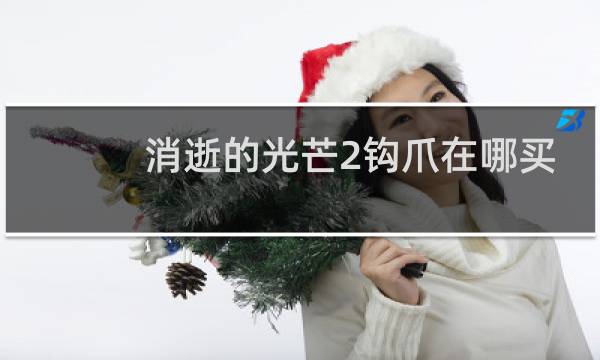 消逝的光芒2钩爪在哪买