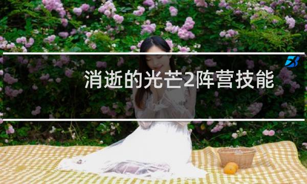 消逝的光芒2阵营技能