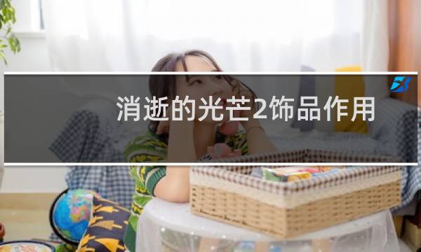 消逝的光芒2饰品作用