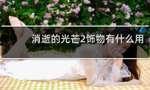 消逝的光芒2饰物有什么用
