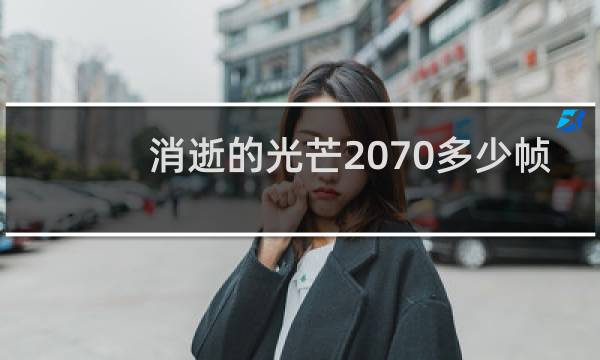 消逝的光芒2070多少帧