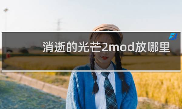 消逝的光芒2mod放哪里