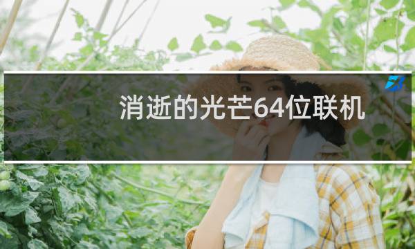 消逝的光芒64位联机