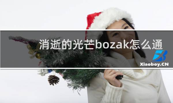 消逝的光芒bozak怎么通