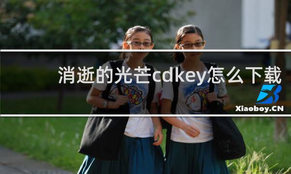 消逝的光芒cdkey怎么下载