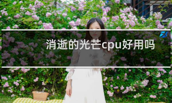 消逝的光芒cpu好用吗