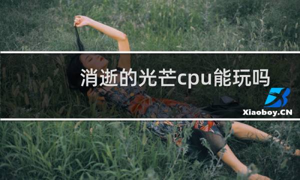 消逝的光芒cpu能玩吗
