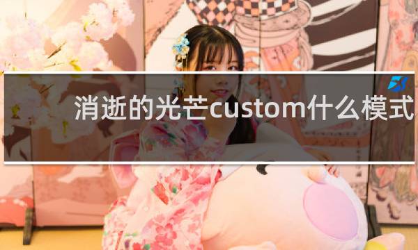 消逝的光芒custom什么模式