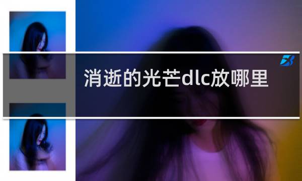 消逝的光芒dlc放哪里