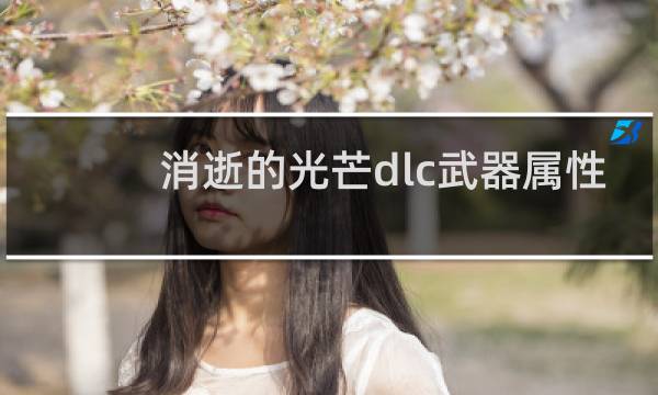 消逝的光芒dlc武器属性