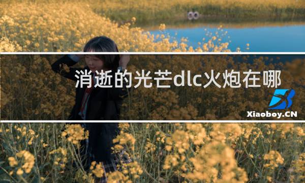 消逝的光芒dlc火炮在哪