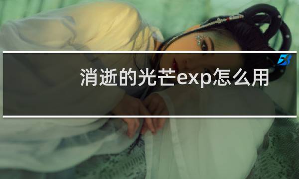 消逝的光芒exp怎么用