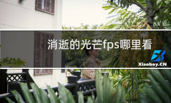 消逝的光芒fps哪里看