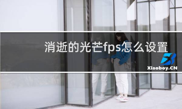 消逝的光芒fps怎么设置