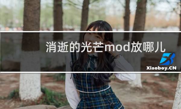 消逝的光芒mod放哪儿