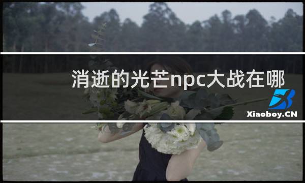 消逝的光芒npc大战在哪