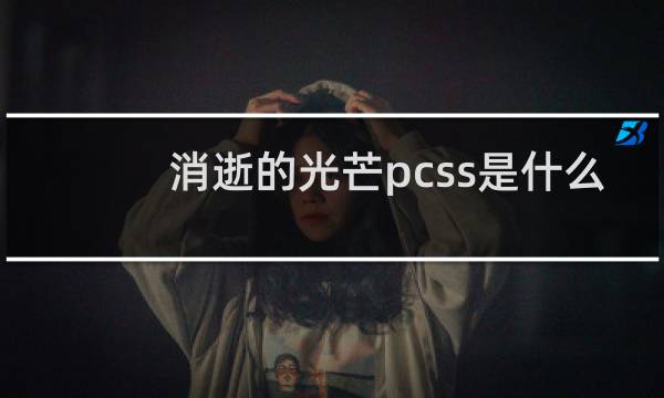 消逝的光芒pcss是什么
